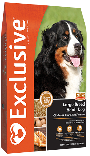 Large Breed Adult Dog Chicken & Brown Rice Formula